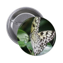 White and Black Butterfly Buttons