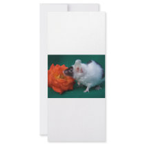 White and Black mouse Orange Tea Rose Rack Cards