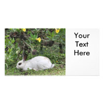 White and Black Rabbit Picture Card