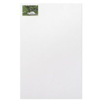 White and Black Rabbit Personalized Stationery