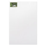 White and Black Rabbit stationery