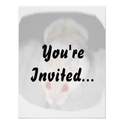 White and blonde albino hamster picture custom invitation