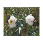 White and Bright Gallery Wrap Canvas