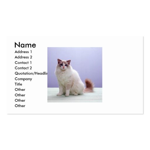 White and Brown Cat Business Card