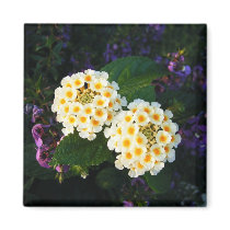 White and Gold Flowers magnets by princessklb07 White and Gold Flowers magnets