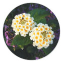 White and Gold Flowers stickers by princessklb07 White and Gold Flowers stickers