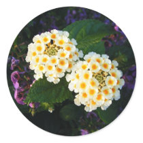 White and Gold Flowers stickers by princessklb07 White and Gold Flowers stickers