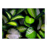 White and Green Leaves Card
