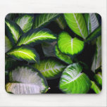White and Green Leaves Mousepad