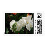 White and Green Tulip Stamps