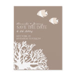 White and Ivory Tropical Fish  Save the Date Postcards