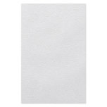 White and Light Gray Printed Pattern Flyer