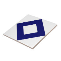 White and Navy Diamond Pattern tiles