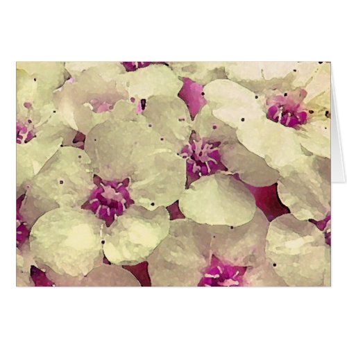 White and Pink Floral zazzle_card