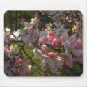 White and Pink Flowering Tree by Creek mousepads by jfkiser White and Pink Flowering Tree by Creek mousepads