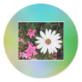 White and pink flowers. round sticker