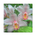 White and Pink Orchids Magnet by SweetRascal White and Pink Orchids Magnet