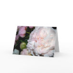White and pink peonies cards