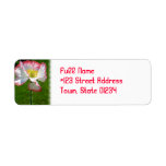 White and Pink Poppy Mailing Label