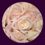 white and pink rose