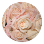 white and pink rose