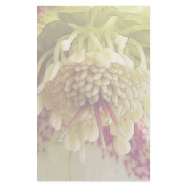 White And Purple Hellebore Customized Stationery