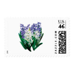 White and Purple Hyacinths Stamp