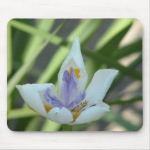 White and Purple Iris Mousepad