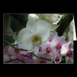 White and Purple Orchids Card
