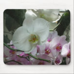 White and Purple Orchids Mousepad