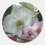 White and Purple Orchids Sticker