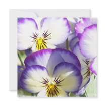 White and Purple Violas Invitations