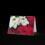 White and Red Poinsettias Card