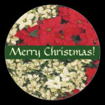 White and Red Poinsettias Christmas Sticker