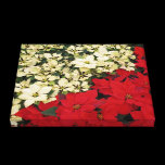 White and Red Poinsettias Holiday Canvas Print