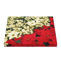 White and Red Poinsettias Holiday Canvas Print