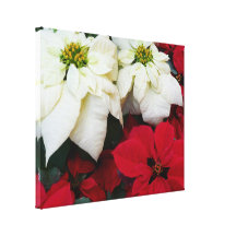 White and Red Poinsettias Holiday Canvas Print