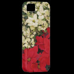 White and Red Poinsettias iPhone 5 Cover