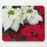 White and Red Poinsettias Mousepad