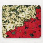 White and Red Poinsettias Mousepad