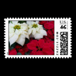 White and Red Poinsettias Postage