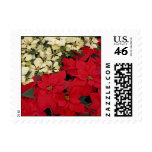White and Red Poinsettias Postage