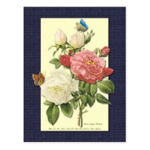 White and Red Roses Botanical Postcard postcards