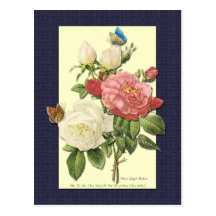White and Red Roses Botanical Postcard