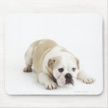 White and tan bulldog mousepads