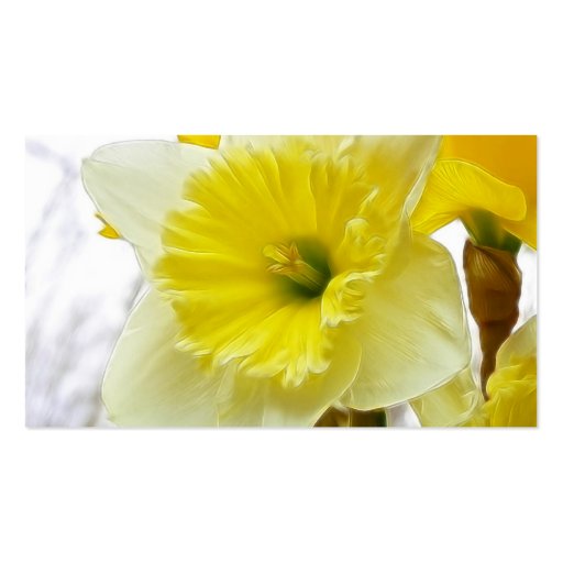 White And Yellow Daffodil Business Card Templates (back side)