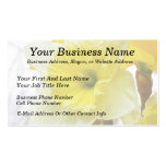 White And Yellow Daffodil Business Card Templates