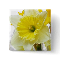 White And Yellow Daffodil Pinback Buttons