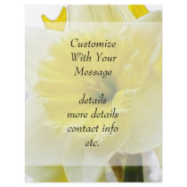 White And Yellow Daffodil Flyers