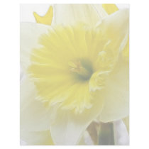 White And Yellow Daffodil Custom Letterhead
